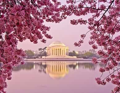 Top 10 Places to Photograph in Washington, D.C.