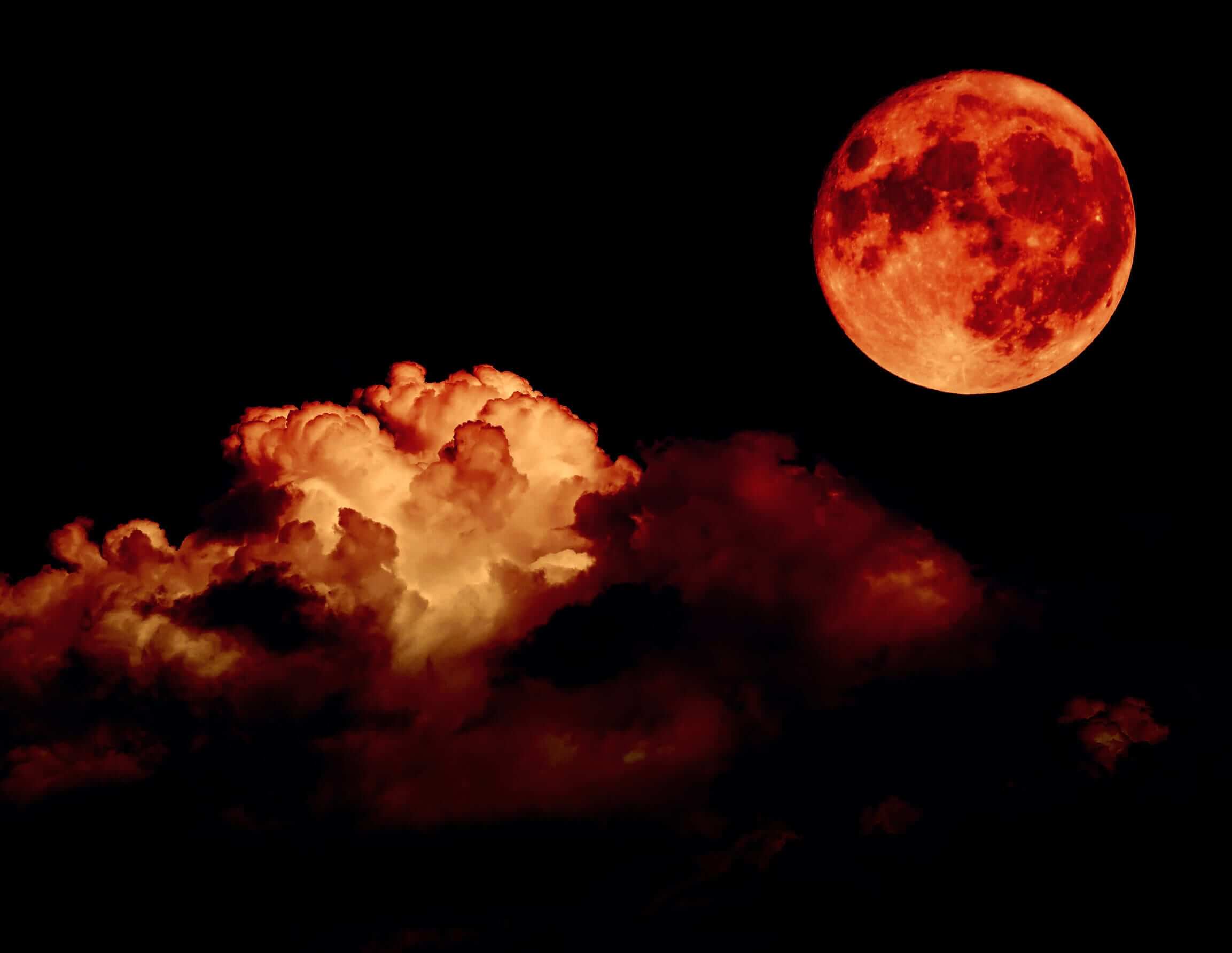 5 Tips to Photograph the Super Blood Moon