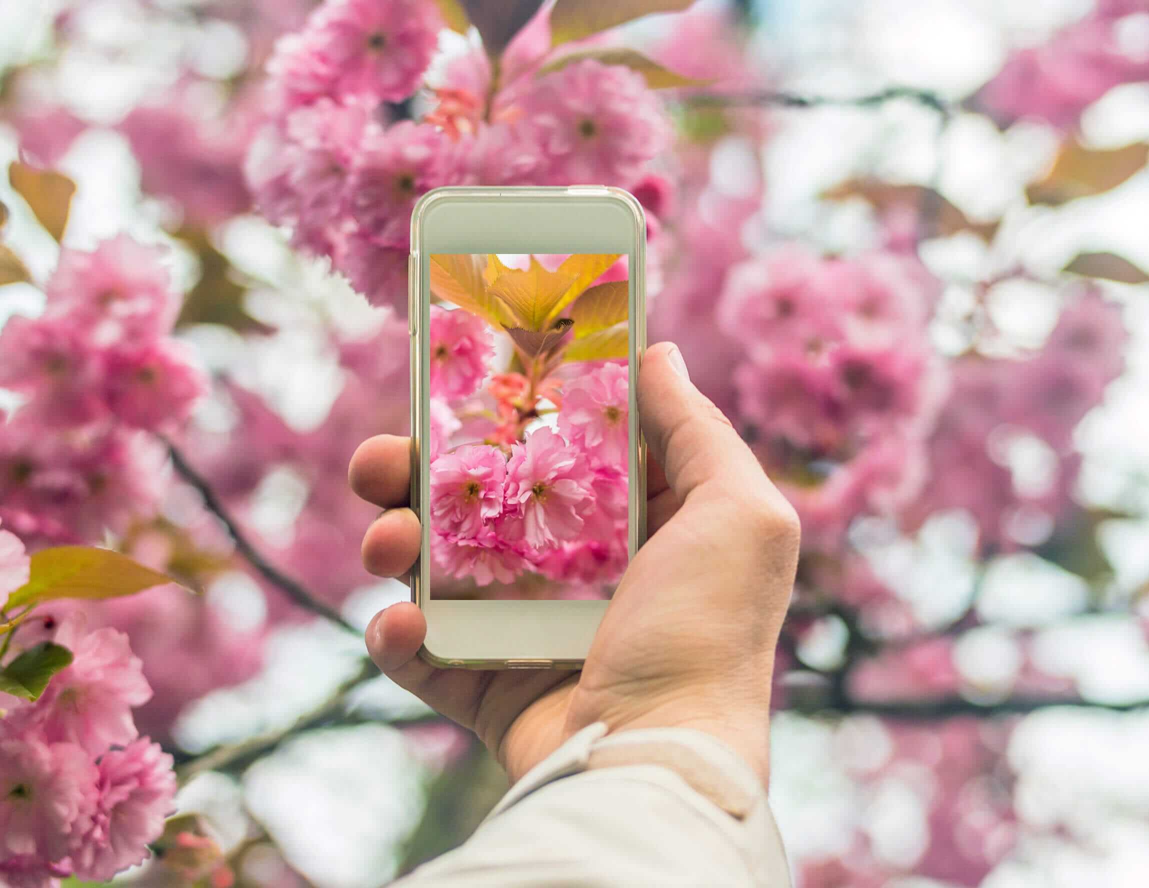 The 5 Best Mobile Photo Editing Apps for Photographers